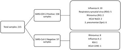 Coinfection of SARS-CoV-2 with other respiratory pathogens in outpatients from Ecuador